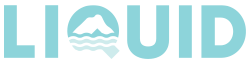 liquid final logo website